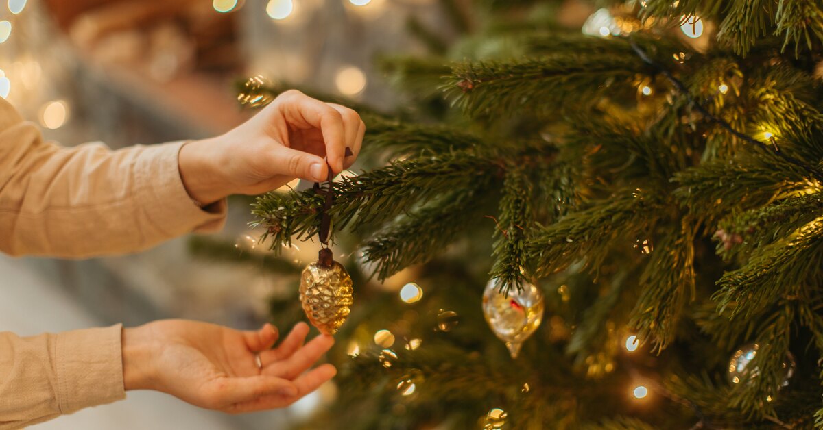 Как усилить запах живой елки в доме: 5 лайфхаков для поддержания праздничной атмосферы