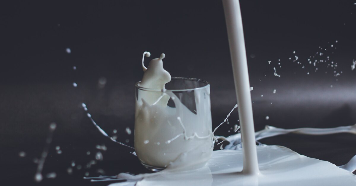Молоко — друг или враг: в чем польза и вред молочных продуктов