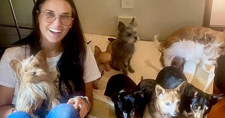 Деми Мур после обвинений в жестоком обращении с животными снялась со своими девятью собаками