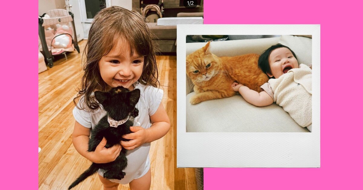 Эти фото доказывают, что каждому ребенку нужна кошка, — ничего милее не увидишь!