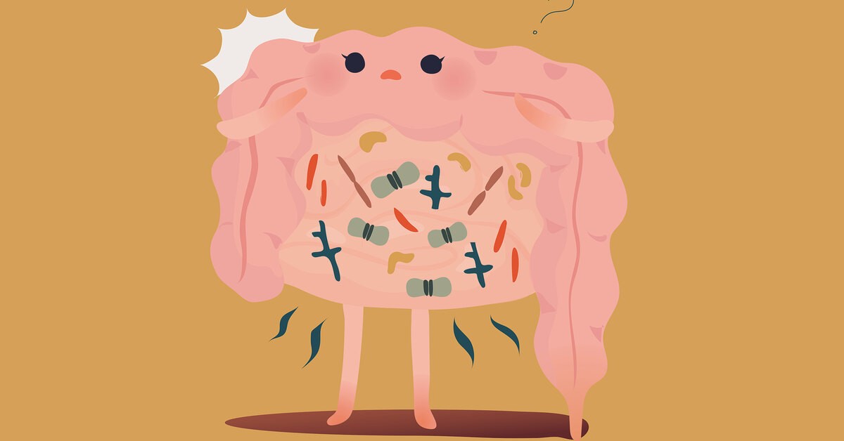 Всё, что нужно знать о кишечном микробиоме: «плохие» и «хорошие» бактерии