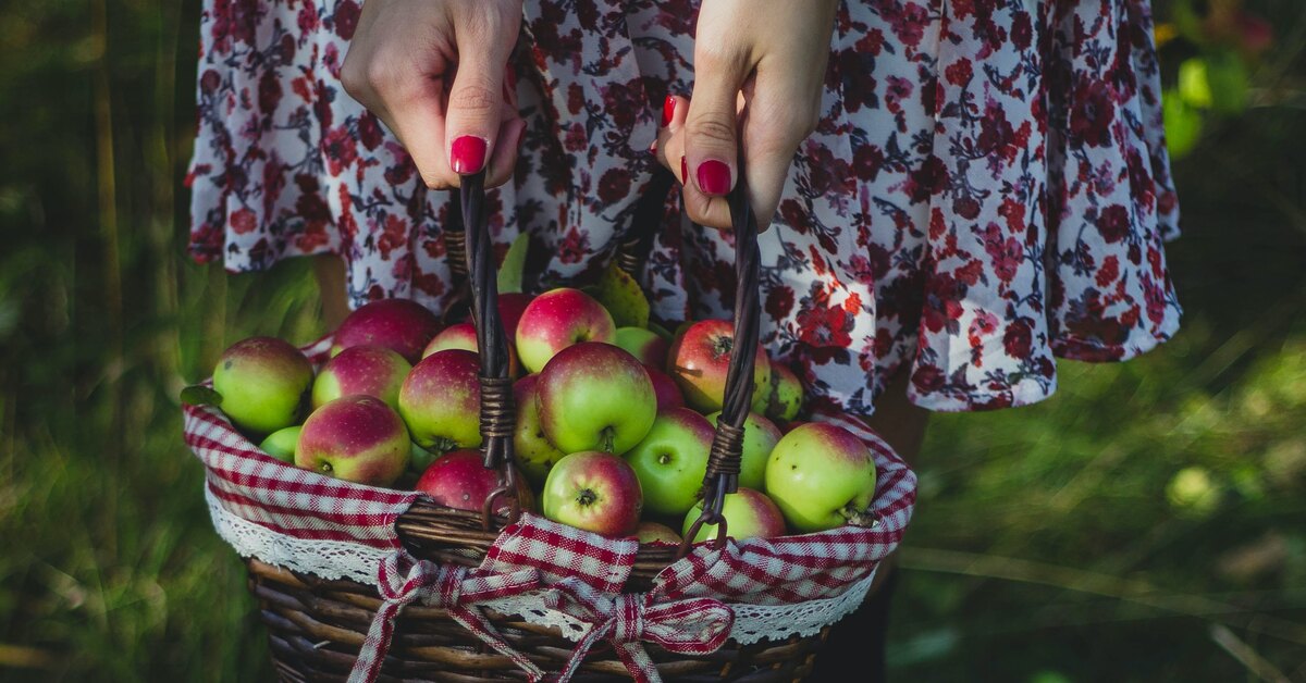 Коварный фрукт: какие яблоки самые полезные, а какие нельзя есть каждый день